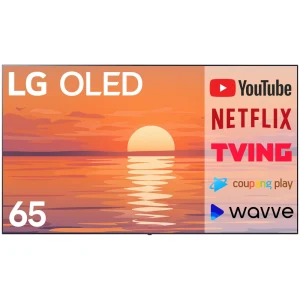 TOP7 65인치 OLED TV 추천 추천 모델 LG전자 65인치(165cm) 신형 올레드 EVO UHD 4K 스마트 TV 갤러리형 돌비비전 & 돌비애트모스 OLED65G5
