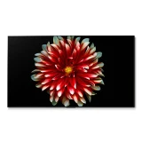 TOP7 77인치 OLED TV 추천 추천 모델 LG전자 4K UHD 올레드 evo 77인치 스마트 TV OLED77G4KNA, 벽걸이형, OLED77G4KNA, 방문설치, 77인치