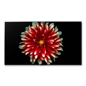 TOP7 77인치 OLED TV 추천