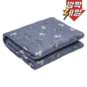 TOP19 카본매트 추천 추천 모델 HanilMedical 탄소열선 전기요 HLY-603NK, 코지베어, L(135 x 180cm/KC정품)