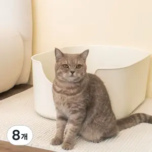 TOP11 고양이 모래매트 추천 서브 대표 이미지