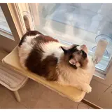 TOP13 고양이 창문 해먹 추천 추천 모델 마아 고양이 강력 흡착 폴딩식 창문 해먹, 혼합색상, 1개
