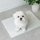 TOP20 강아지 쿨매트 추천 추천 모델 베베페페 강아지 대리석 쿨매트 엔지니어드스톤, 스노우, 1개