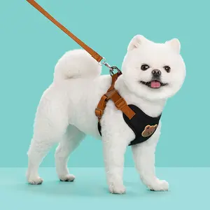 TOP14 강아지 하네스 추천 추천 모델 파스텔펫 반려동물 곰돌이 하네스 + 리드줄 세트