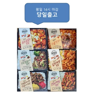 TOP20 도시락 밥 추천 추천 모델 온더고 아워홈 냉동도시락 골고루 6가지, 1개, 1.74kg